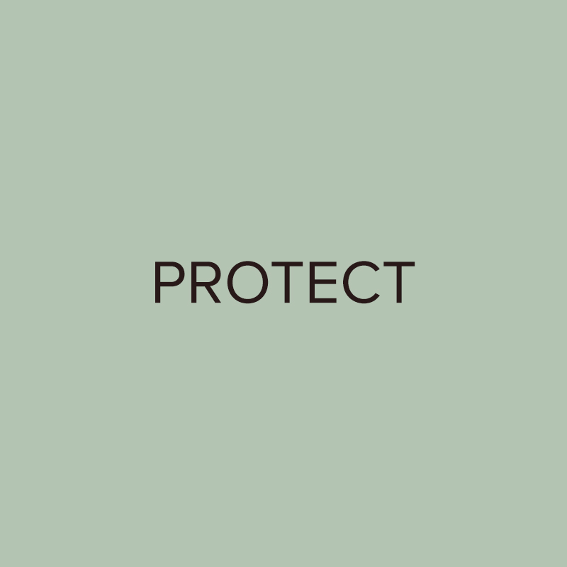Protect Product Regimen by Kevin Murphy