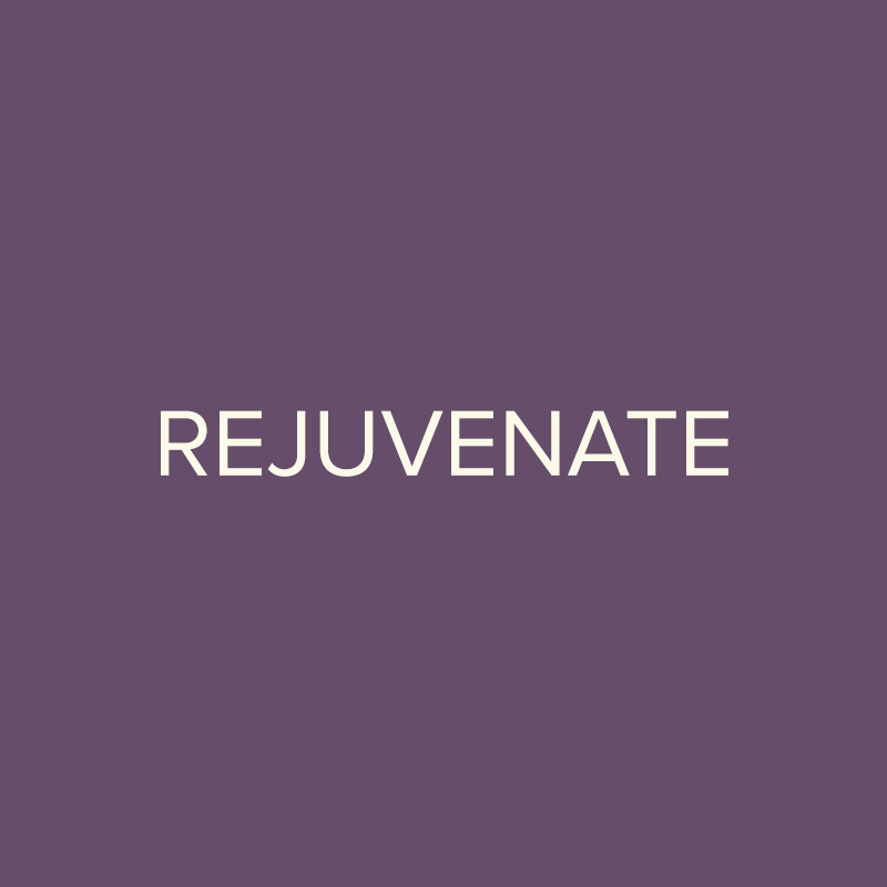 Rejuvenate Product Regimen by Kevin Murphy